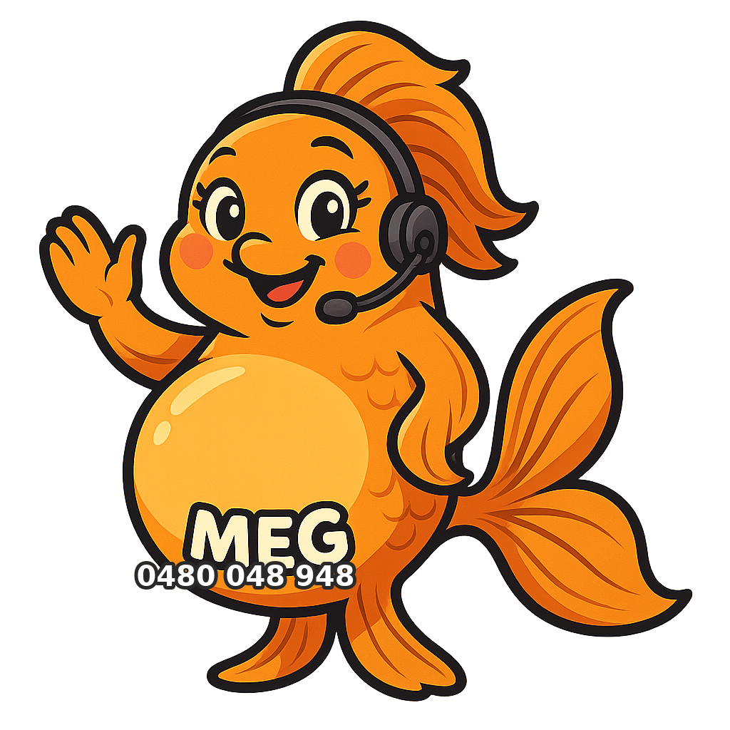Meg the goldfish
